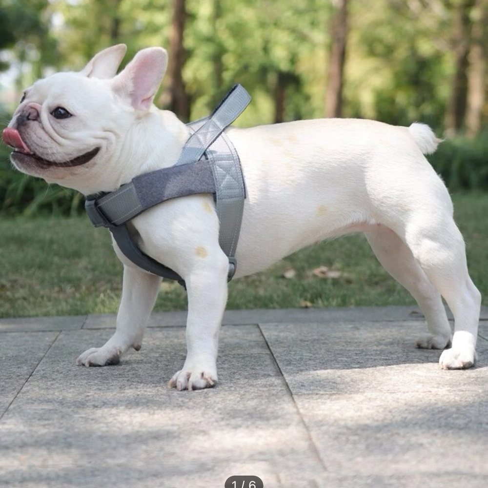 Dog grey reflective harness in large